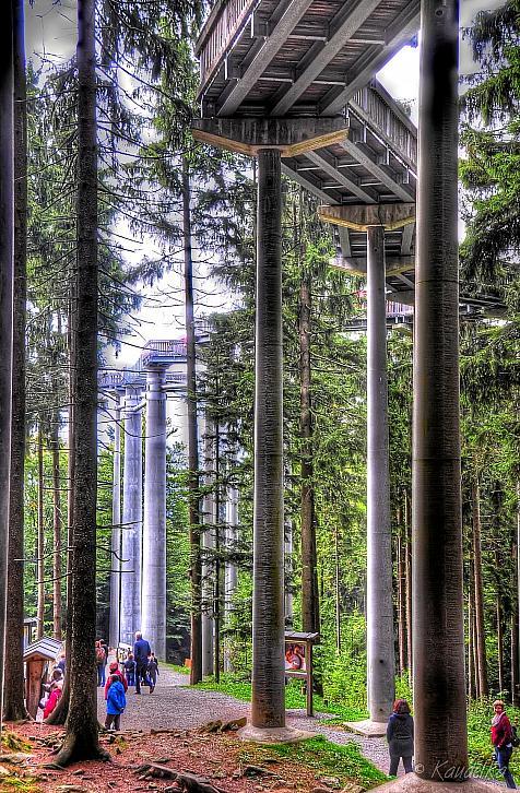 2015-09-26 saengerausflug 2015 - st englmar und regensburg 26 09 2015 10 52 29 b