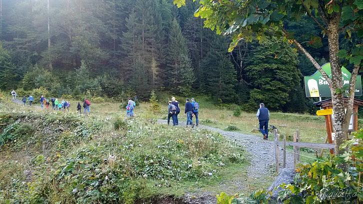 saengerausflug 2016 hinterriss kochelsee 24 09 2016 03