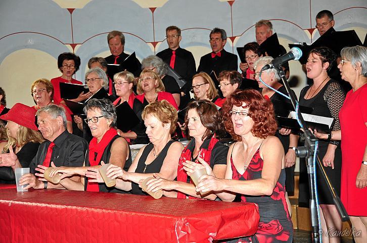 mmg benefizkonzert paf 2016 treffpunkt musik musik kennt keine grenzen 16 07 2016 38