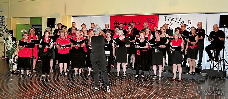 mmg sommerkonzert 2016 treffpunkt musik musik kennt keine grenzen 15 07 2016 19