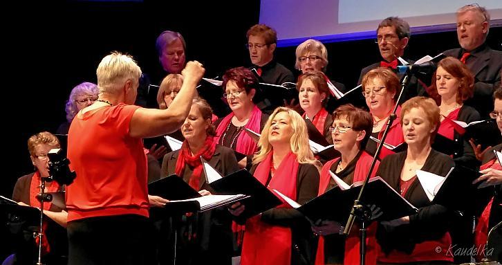 2016-11-27 mmg vdk-konzert stadthalle ingolstadt 27 11 2016 07