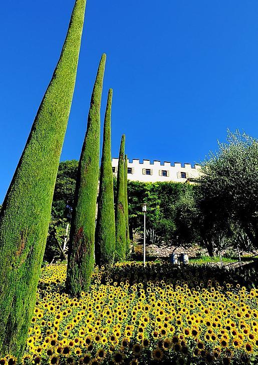 2015-09-20 gartenbauverein 2-tagesfahrt schloss trauttmannsdorf bei meran 20 09 2015 10 17 38 b