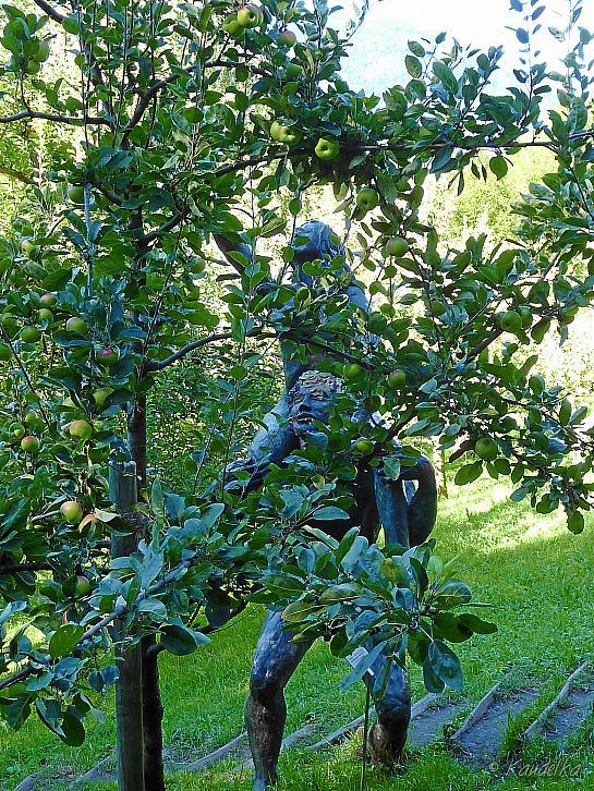 2015-09-20 gartenbauverein 2-tagesfahrt schloss trauttmannsdorf bei meran 20 09 2015 10 48 49 d