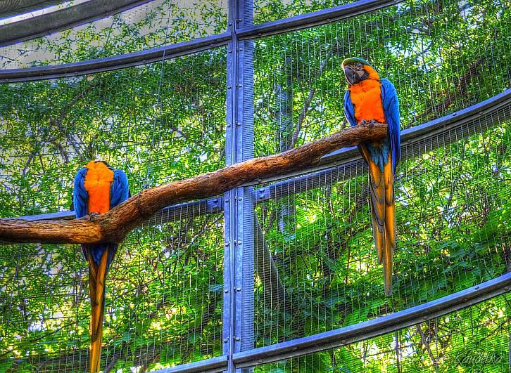 2015-09-20 gartenbauverein 2-tagesfahrt schloss trauttmannsdorf bei meran 20 09 2015 13 30 02 b