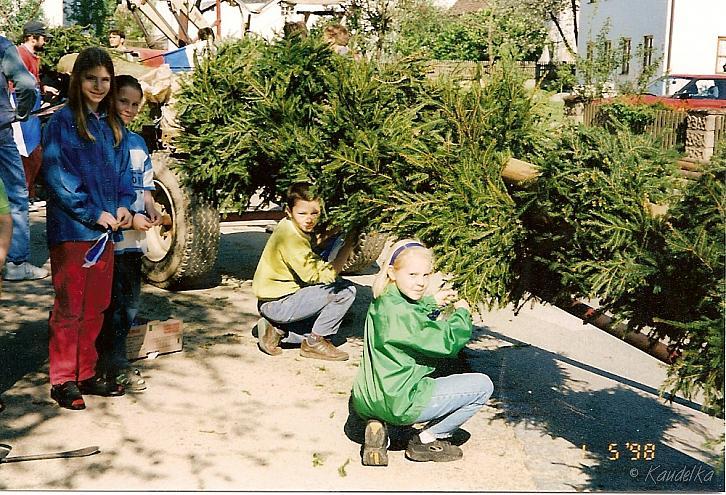 maibaum-aufstellen aus alten tagen 09
