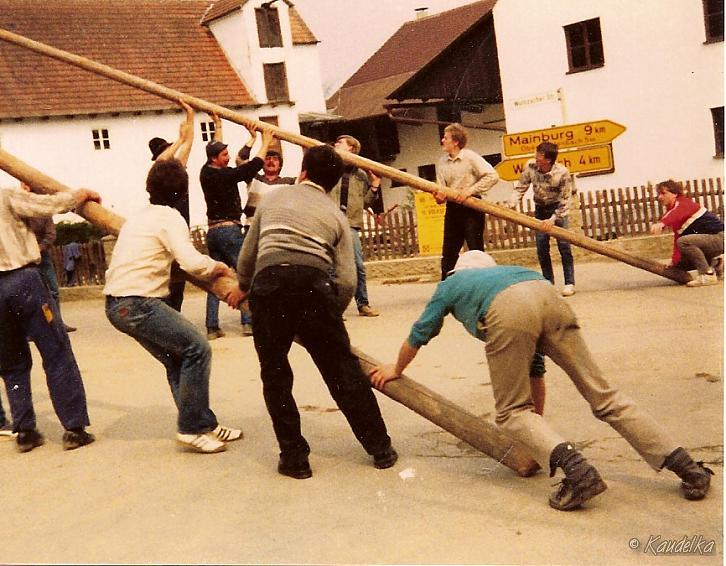 maibaum-aufstellen aus alten tagen 14