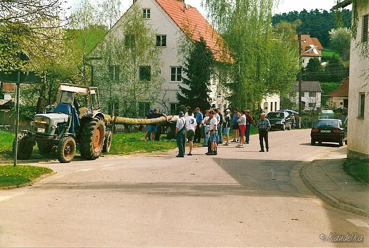 maibaum-aufstellen aus alten tagen 15