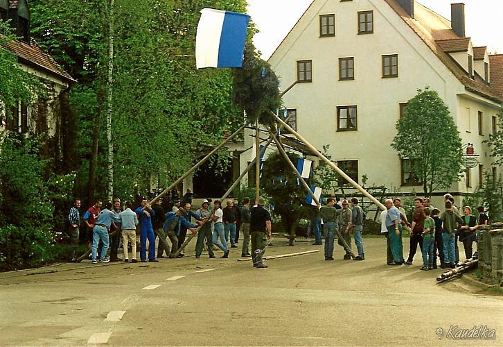 maibaum-aufstellen aus alten tagen 23c