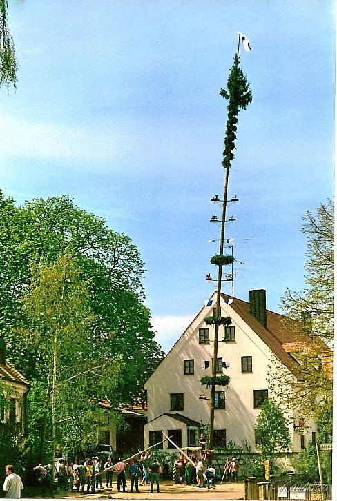 maibaum-aufstellen aus alten tagen 24c