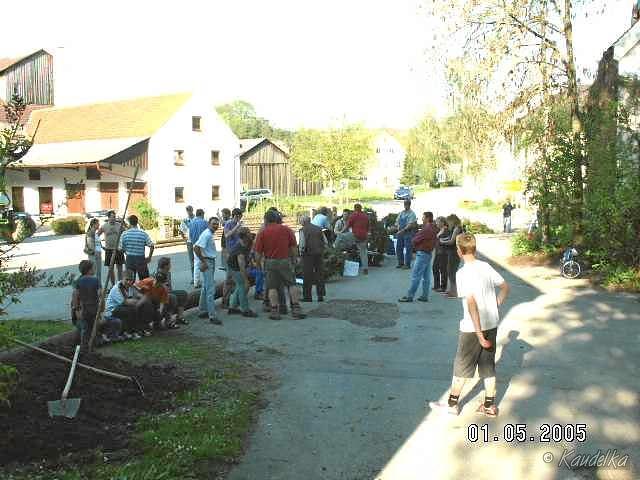 2005-05-01 maibaum aufstellen 001 01 05 2005 a