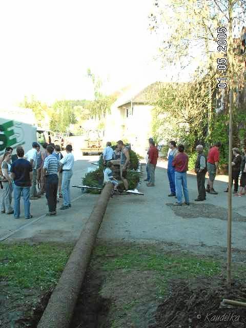 2005-05-01 maibaum aufstellen 003 01 05 2005 a