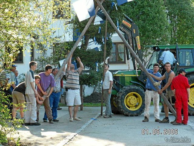 2005-05-01 maibaum aufstellen 004 01 05 2005 17 04 01 a