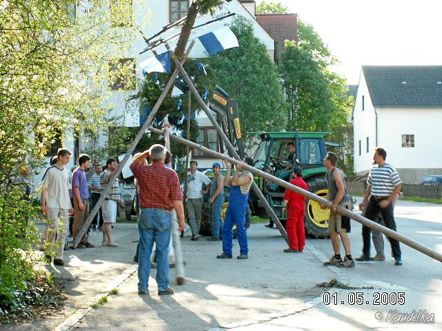2005-05-01 maibaum aufstellen 005 01 05 2005 17 05 01 a
