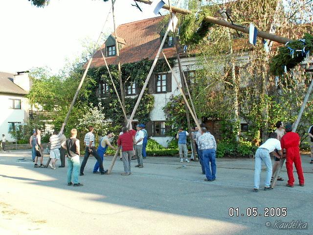 2005-05-01 maibaum aufstellen 006 01 05 2005 17 14 52 a