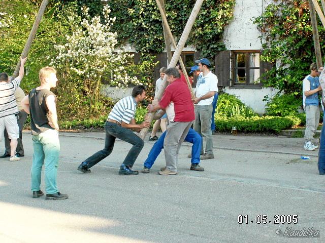 2005-05-01 maibaum aufstellen 007 01 05 2005 17 15 00 a