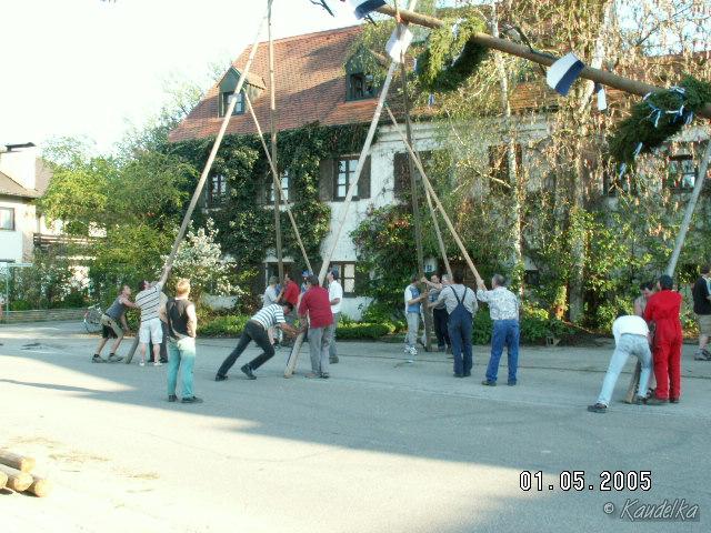 2005-05-01 maibaum aufstellen 008 01 05 2005 17 15 05