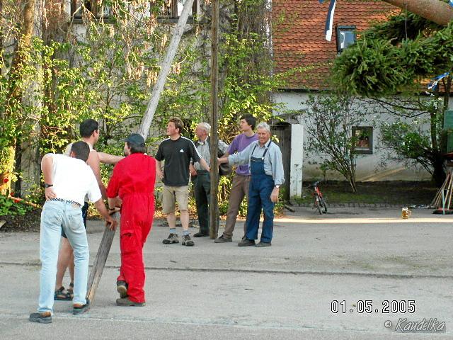 2005-05-01 maibaum aufstellen 009 01 05 2005 17 15 18 a