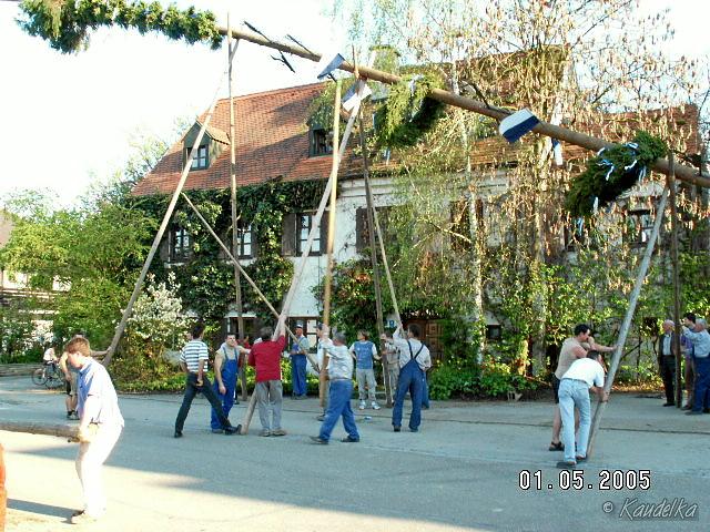 2005-05-01 maibaum aufstellen 010 01 05 2005 17 15 45 a