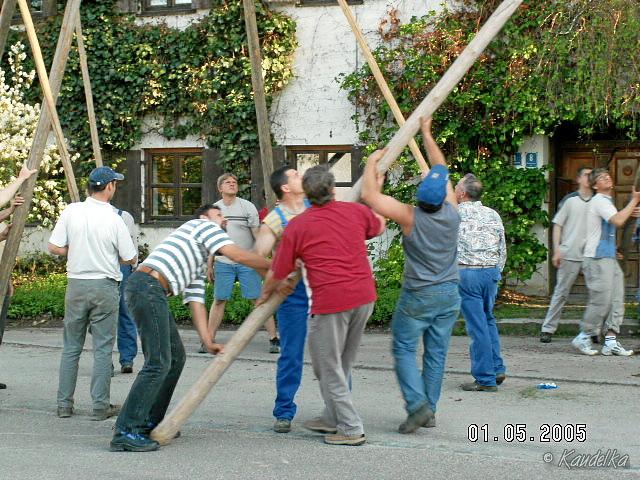 2005-05-01 maibaum aufstellen 015 01 05 2005 17 20 07 a