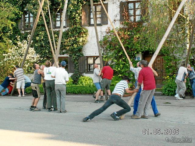 2005-05-01 maibaum aufstellen 016 01 05 2005 17 20 27 a