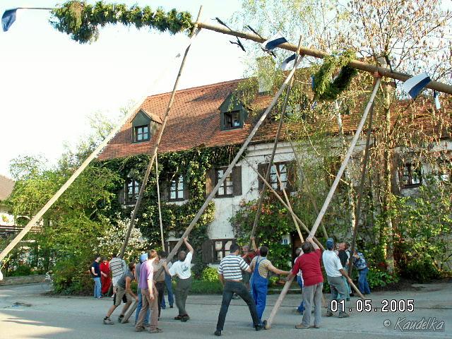 2005-05-01 maibaum aufstellen 017 01 05 2005 17 21 14 a