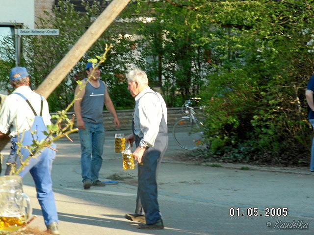 2005-05-01 maibaum aufstellen 018 01 05 2005 17 21 33 a