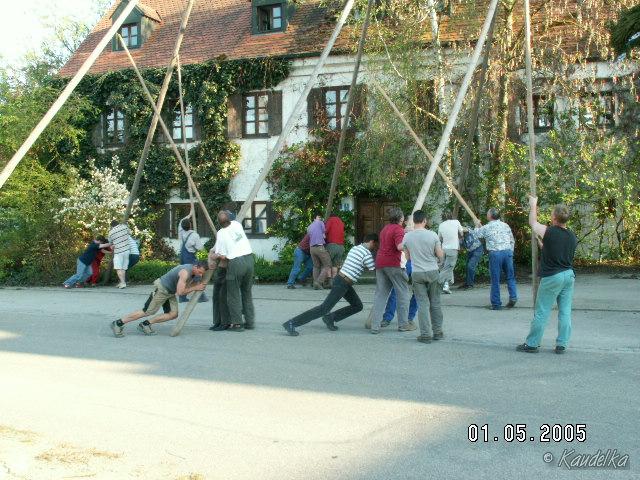 2005-05-01 maibaum aufstellen 019 01 05 2005 17 21 40