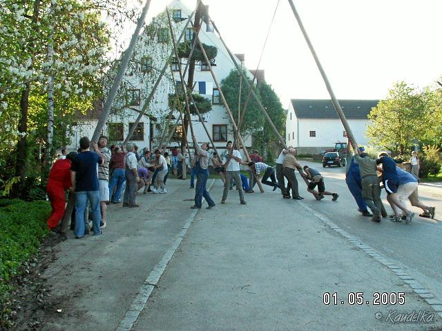 2005-05-01 maibaum aufstellen 028 01 05 2005 17 28 43 a