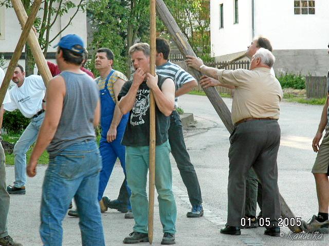 2005-05-01 maibaum aufstellen 030 01 05 2005 17 29 18 a