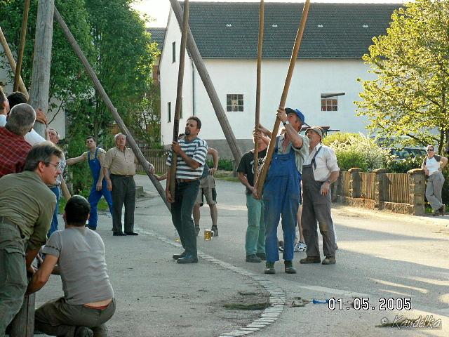 2005-05-01 maibaum aufstellen 035 01 05 2005 17 33 28 a