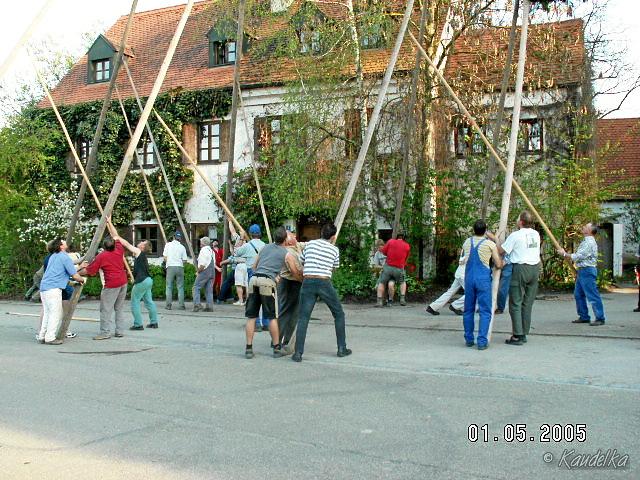 2005-05-01 maibaum aufstellen 039 01 05 2005 17 36 18 a