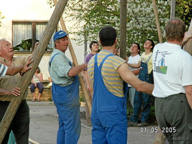 2005-05-01 maibaum aufstellen 041 01 05 2005 17 36 59 a