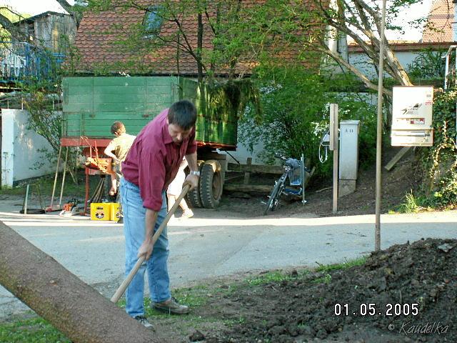 2005-05-01 maibaum aufstellen 042 01 05 2005 17 37 25 a