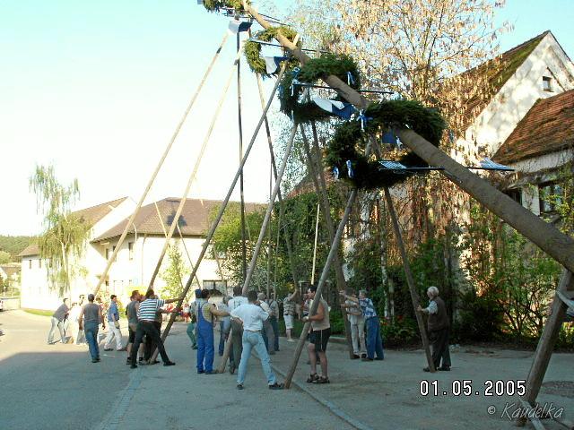 2005-05-01 maibaum aufstellen 044 01 05 2005 17 38 13 a