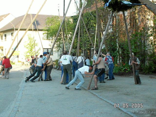 2005-05-01 maibaum aufstellen 046 01 05 2005 17 39 39 a