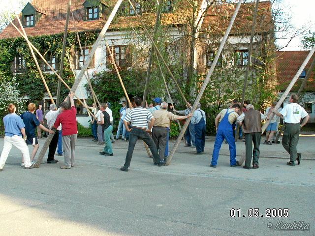 2005-05-01 maibaum aufstellen 049 01 05 2005 17 45 13 a
