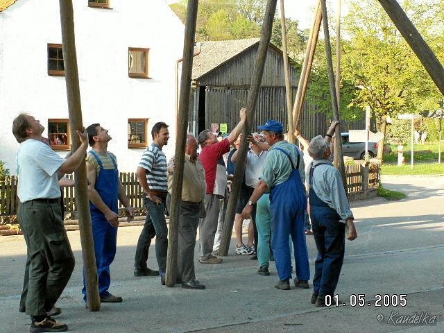 2005-05-01 maibaum aufstellen 051 01 05 2005 17 45 59 a