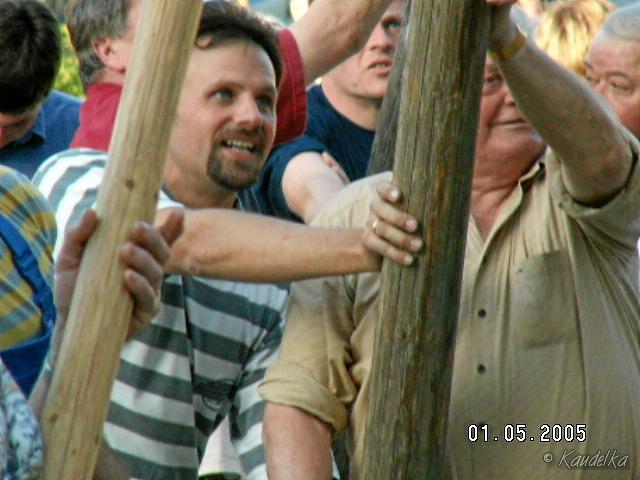 2005-05-01 maibaum aufstellen 053 01 05 2005 17 47 14 a