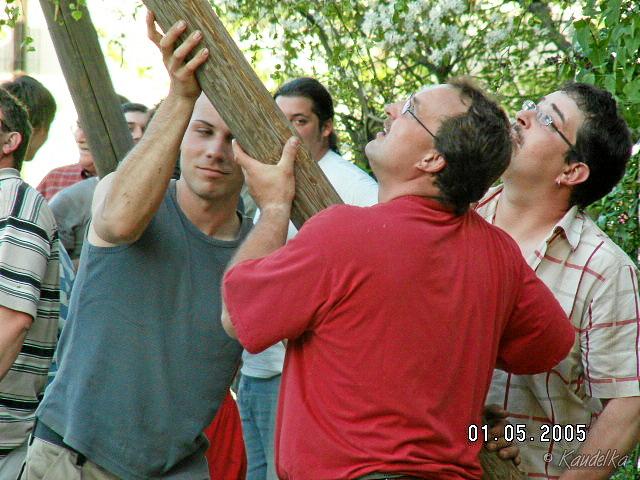 2005-05-01 maibaum aufstellen 055 01 05 2005 17 47 29 a
