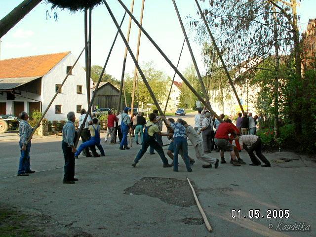 2005-05-01 maibaum aufstellen 057 01 05 2005 17 48 12 a