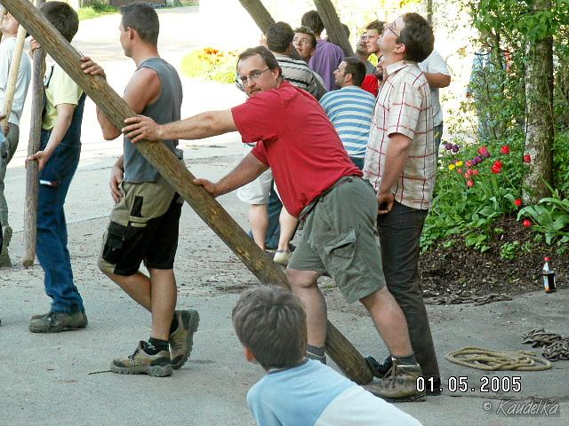 2005-05-01 maibaum aufstellen 060 01 05 2005 17 49 41 a