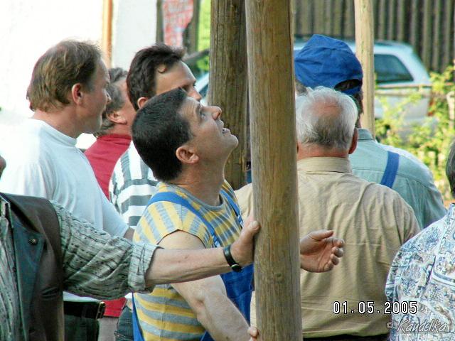 2005-05-01 maibaum aufstellen 061 01 05 2005 17 50 00 a