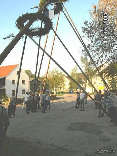 2005-05-01 maibaum aufstellen 064 01 05 2005 a