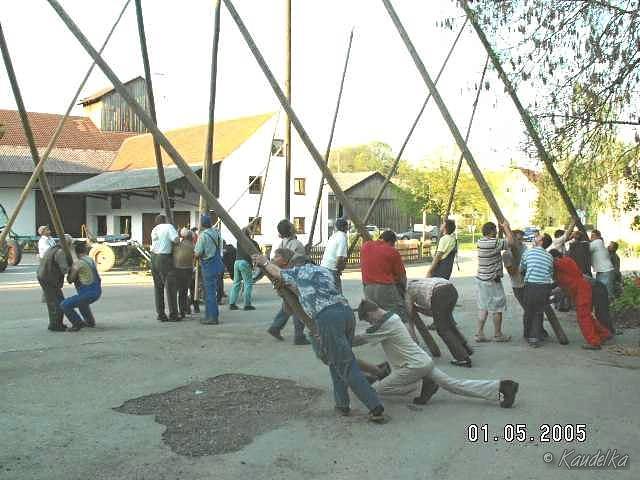 2005-05-01 maibaum aufstellen 065 01 05 2005 a