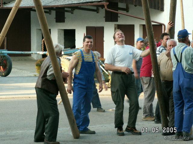 2005-05-01 maibaum aufstellen 066 01 05 2005 17 57 50