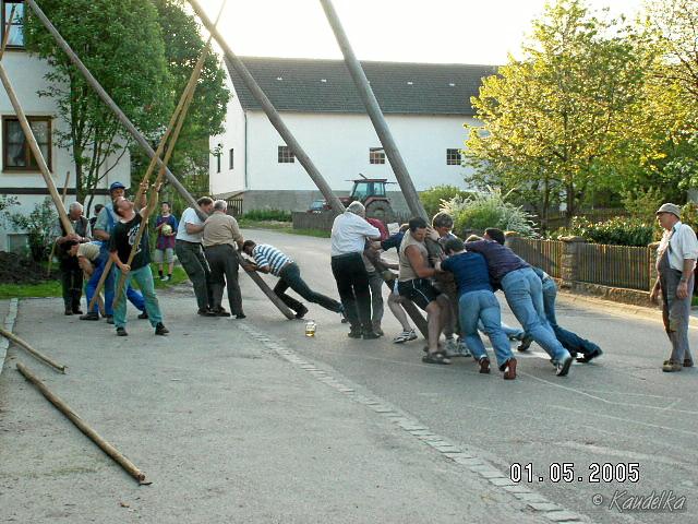 2005-05-01 maibaum aufstellen 071 01 05 2005 18 02 24 a