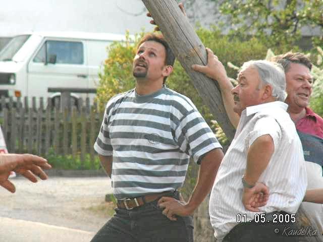 2005-05-01 maibaum aufstellen 075 01 05 2005 a