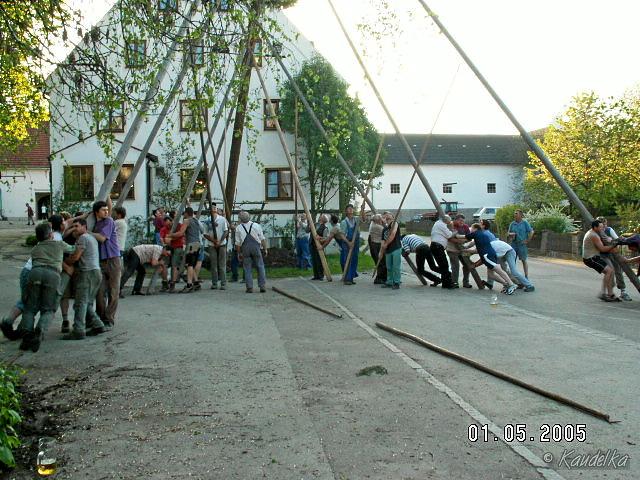 2005-05-01 maibaum aufstellen 076 01 05 2005 18 05 45 a