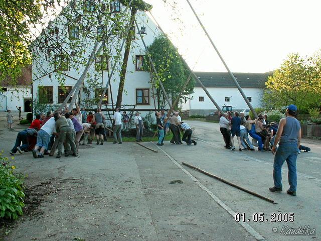 2005-05-01 maibaum aufstellen 082 01 05 2005 18 12 42 a