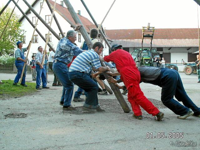 2005-05-01 maibaum aufstellen 087 01 05 2005 18 24 35 a